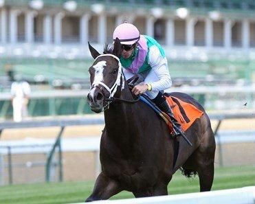 Grade 3 Turf Forbidden Apple: Saratoga Friday Analysis