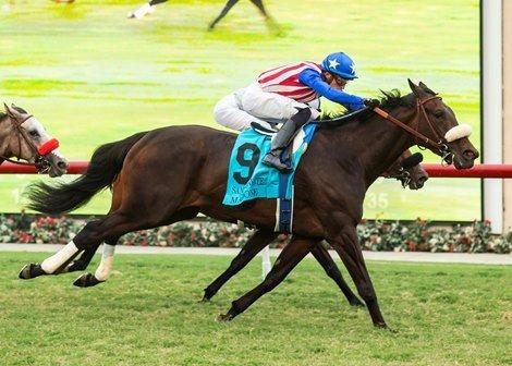 Del Mar Thoroughbred Club Saturday: Wide Open San Clemente Stakes