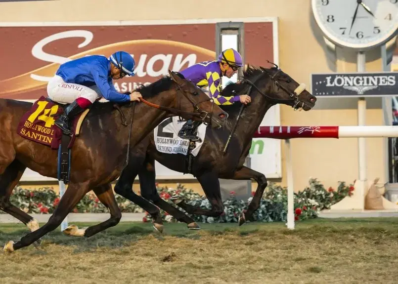 Beyond Brilliant Faces 11 Foes: Sunday Del Mar Eddie Read Analysis