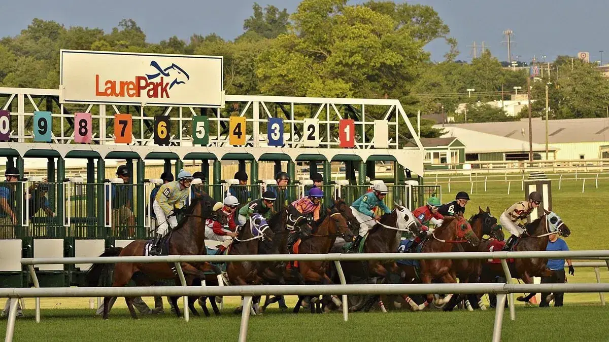 Laurel Park Friday Analysis: Lifeblood of Horse Racing Domintates Card
