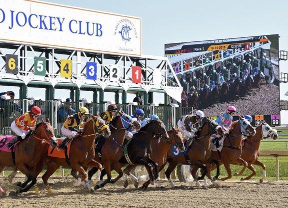 Laurel Park Thursday (7/28): Late Pick 5 Offers Possibilities cover