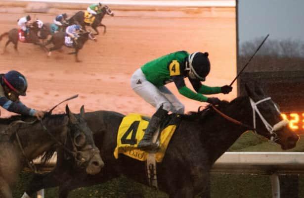 Indiana Derby: Un Ojo Looks to Finish Numero Uno at Horseshoe Indianapolis cover