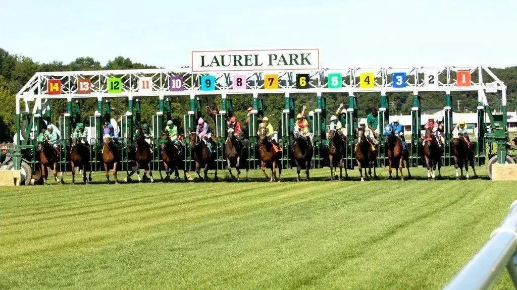 Laurel Park (7/29): Parity Galore on Wide Open Friday Card