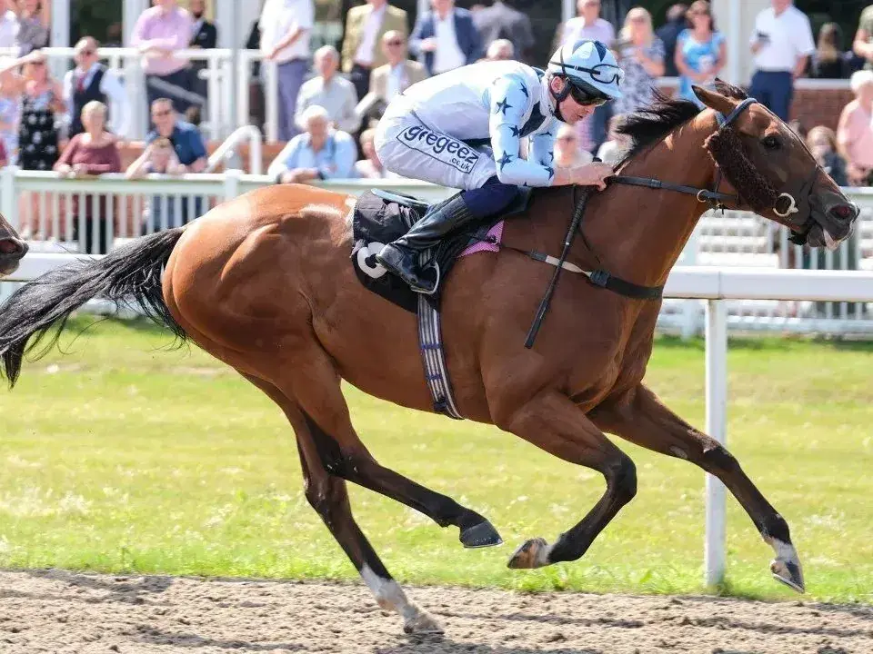 Saratoga Sunday: Grade 3 Pair with Adirondack, Saratoga Oaks