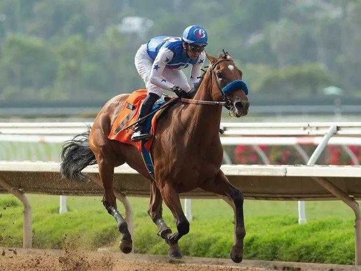 Del Mar Saturday: Private Mission, Shedaresthedevil Square Off