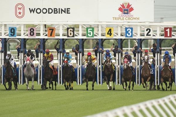 Woodbine Ontario Colleen Lone Graded Stakes (Saturday 8/6)