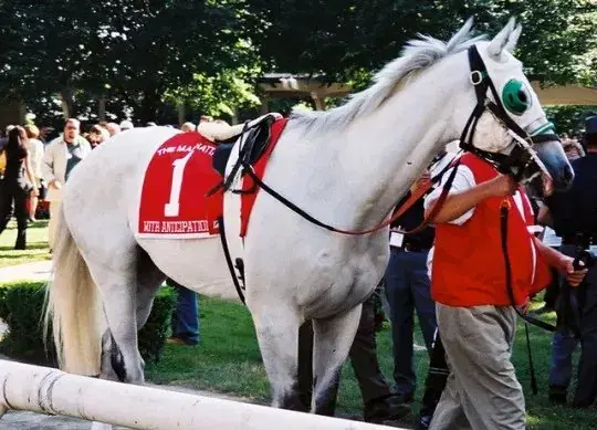 Final Week at Saratoga Starts With Anticipation: Wendesday Analysis