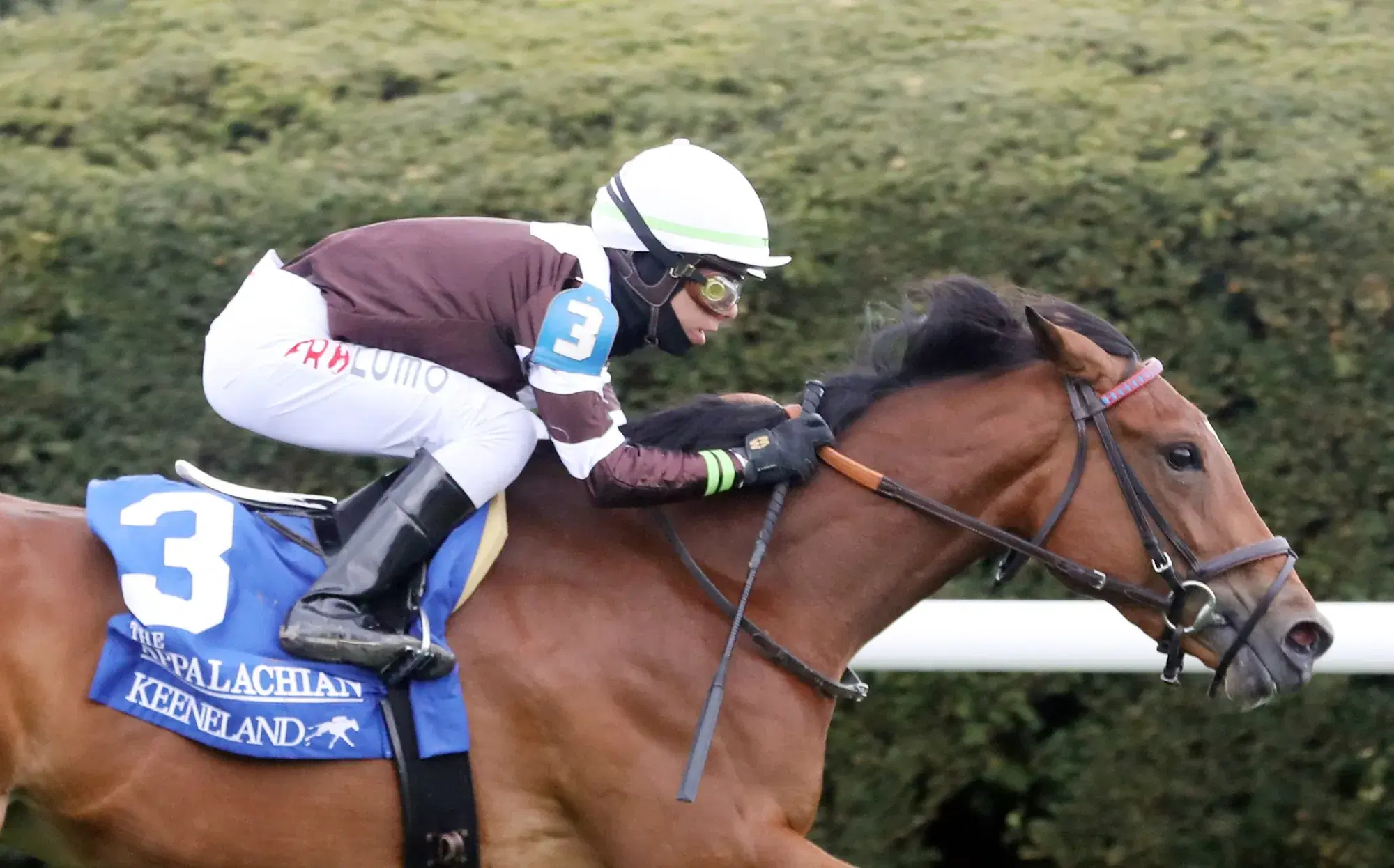 Del Mar Saturday: Spenderella Favored in the Grade 1 Oaks