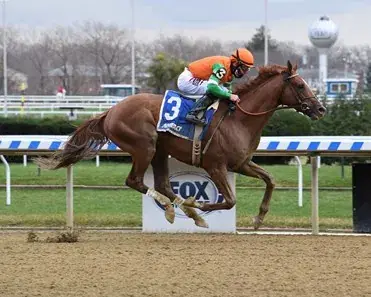 Forza Di Oro Favored at Monmouth Park in Grade 3 Stakes Race Saturday