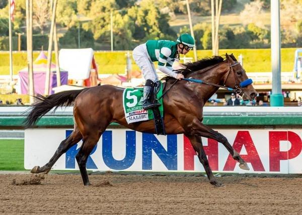 Del Mar Labor Day Racing Takes Backseat to Flightline Talk