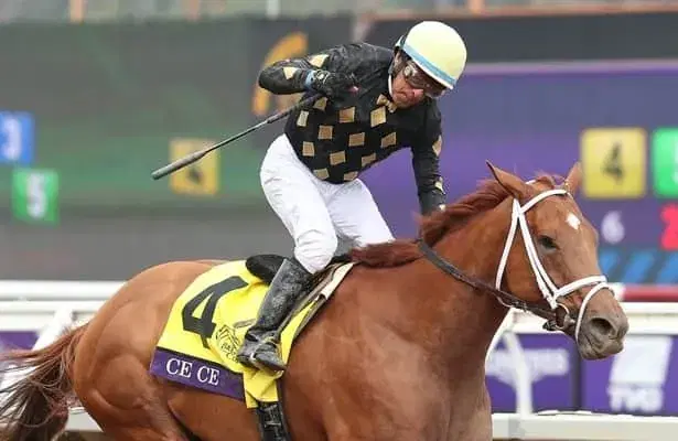 Santa Anita Sunday: Speakeasy Stakes, Breeders’ Cup Implications