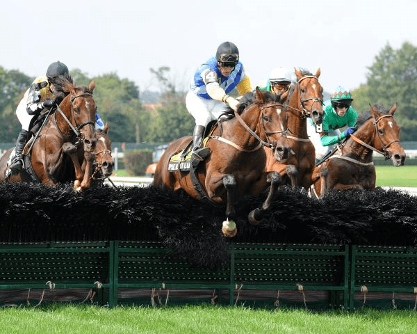 Belmont at the Big A Kicks Off Thursday Amid Track Renovations cover