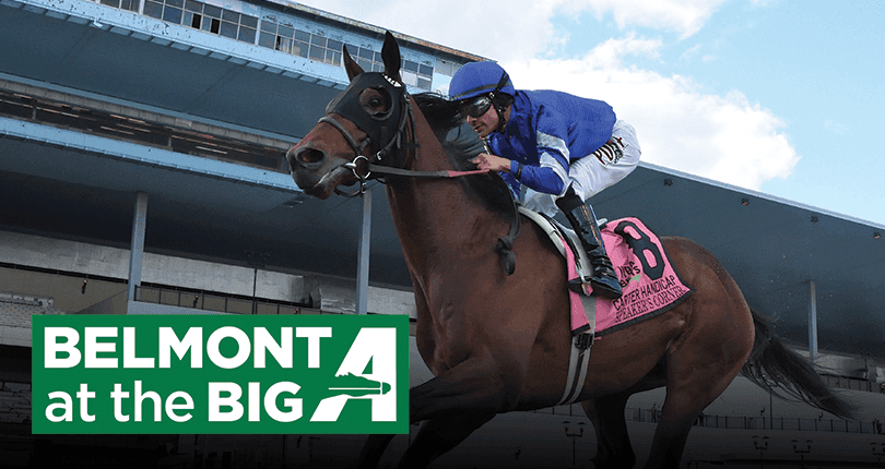 Belmont/Aqueduct Joseph Gimma Friday Stakes Analysis cover
