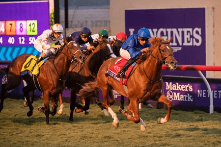 Woodbine Features Win and You’re In Races for Breeders’ Cup cover