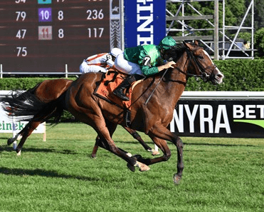 Pebbles Stakes Closes Opening Weekend of Belmont at the Big A cover