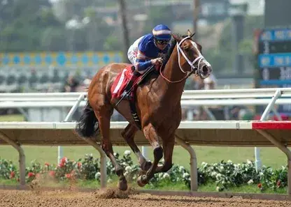 Torrey Pines, Green Flash Handicap: Del Mar Sunday Analysis