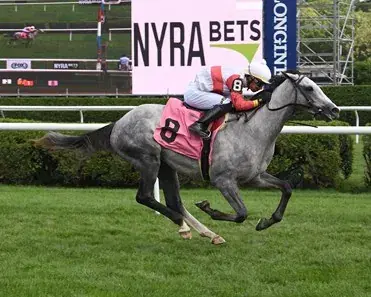 Noble Damsel, Hill Prince Stakes: Belmont Analysis, Selection