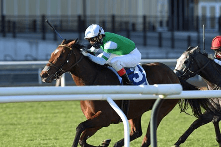 Franklin Stakes Full Field Takes Gate: Keeneland Sunday Analysis