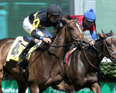 Keeneland Returns:Jessamine, Alcibiades Analysis, Selections