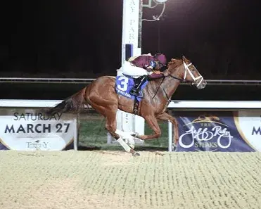 Lady Edith Narrow Floral Park Favorite: Aqueduct Sunday