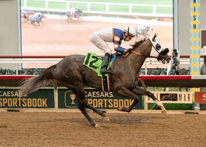 Senator Ken Maddy Stakes: Santa Anita Analysis, Selections