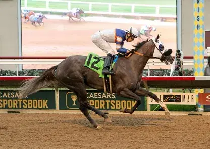 Senator Ken Maddy Stakes: Santa Anita Analysis, Selections