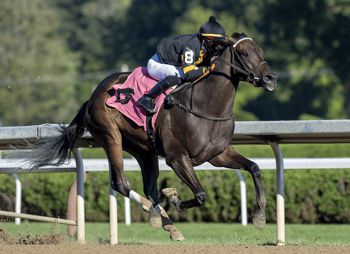 Belmont Meet Winds Down: Kelso Handicap Analysis, Selections cover