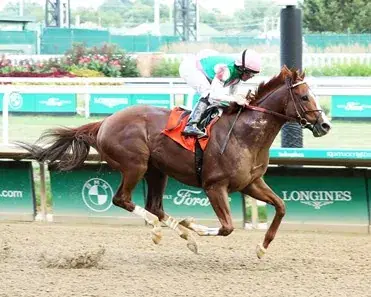 Elite Power Solid Prospect, Vosburgh Stakes Analysis