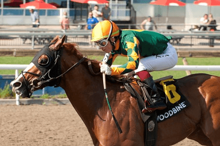 Kennedy Road (G2): Woodbine Sunday Selections, Analysis cover