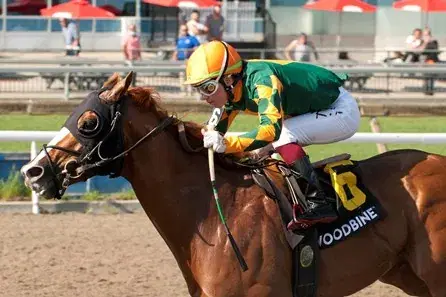 Kennedy Road (G2): Woodbine Sunday Selections, Analysis