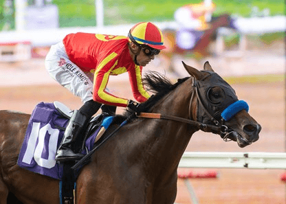 Del Mar Sunday: Bob Hope Stakes Analysis, Selections cover
