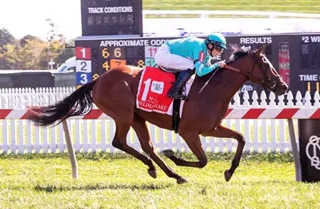 Fluffy Socks Returns: Aqueduct Sunday Analysis, Selections