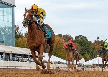 Laurel Park Monday (12/16): Stakes Laiden Card Analysis cover