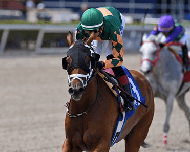 Gulfstream Park Analysis: Racing Week Concludes Sunday
