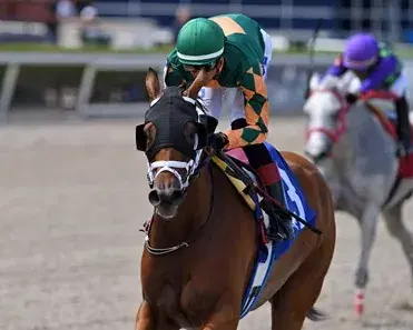 Gulfstream Park Analysis: Racing Week Concludes Sunday cover