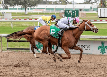 Louisiana Champions Day: Fair Grounds Saturday Analysis cover