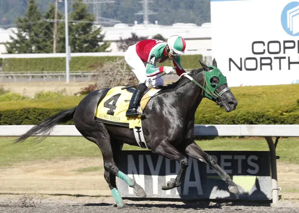 Turf Paradise Wednesday Throughbred, Quarter Horse Stakes cover