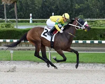 Gulfstream Park Thursday: Championship Meet Analaysis cover