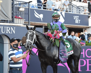 New Year’s Eve: Gulfstream Park Analysis, Selections cover