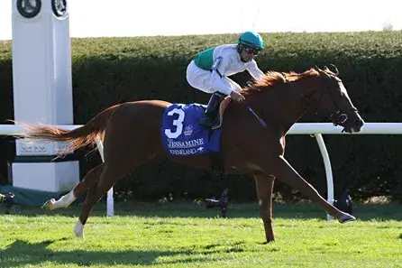 Gulfstream Park Saturday: Turf Stakes Analysis, Selections cover