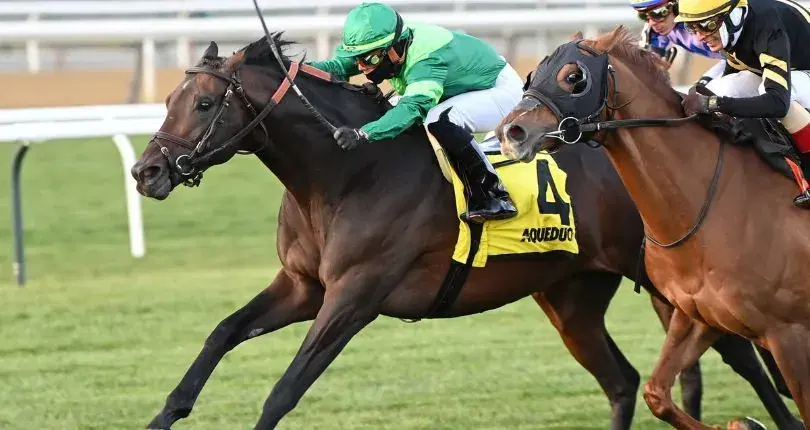 H. Allen Jerkens: Gulfstream Park Saturday Analysis cover