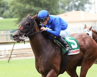 Gulfstream Park Saturday: Year’s Final Stakes Races Featured cover