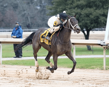 Oaklawn Park Saturday: Pippin Stakes Analysis, Selections
