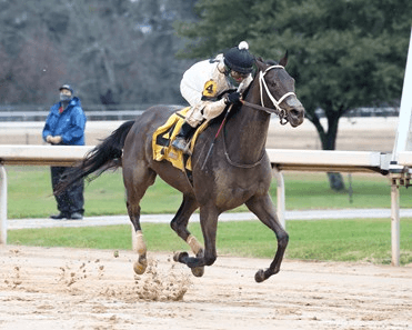 Oaklawn Park Saturday: Pippin Stakes Analysis, Selections cover