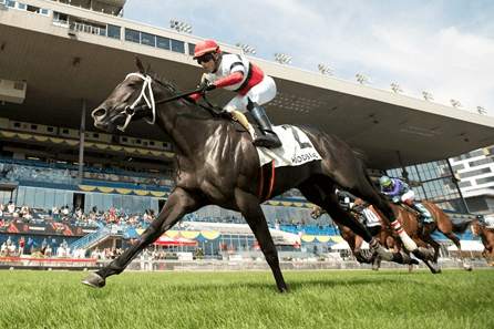 Gulfstream Park Saturday Preview: Ginger Brew Analysis