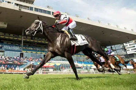 Gulfstream Park Saturday Preview: Ginger Brew Analysis