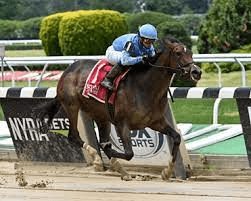 Aqueduct Saturday: Betsy Blue Solid Interborough Favorite