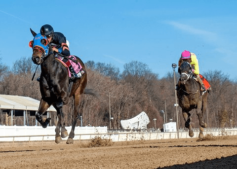 Laurel Park Saturday: Spectacular Bid Featured Among Several Stakes