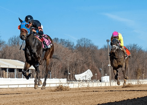 Laurel Park Saturday: Spectacular Bid Featured Among Several Stakes cover