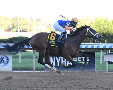 Aqueduct Saturday: NYRA Horse Racing Analysis (1/14)